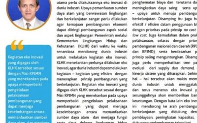 ECO INNOVATION FOR INDONESIAN ENVIRONMENT AND A BETTER WORLD