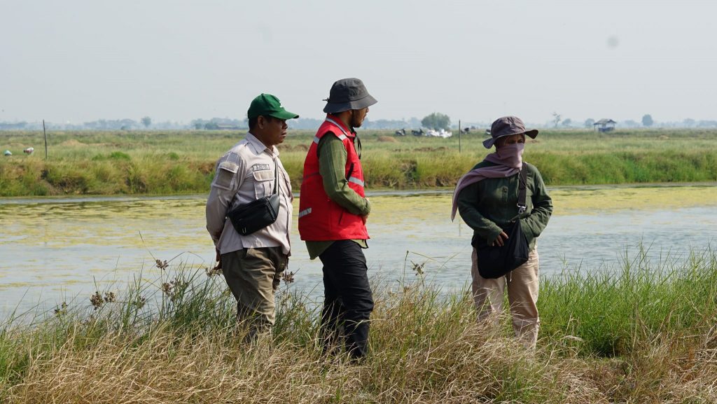 Rahmat Tubagus Hakiem - Mangrove